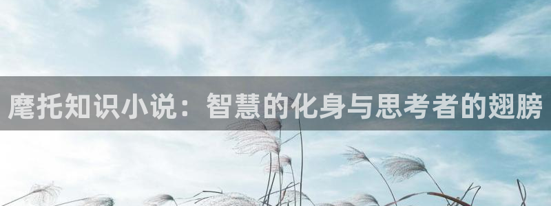 全本小说网免费小说：麾托知识小说：智慧的化身与思考者的翅膀