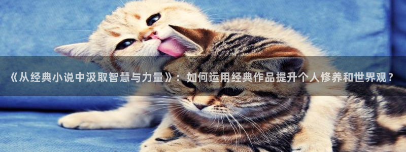万相之王全本小说txt下载：《从经典小说中汲取智慧与力量》：如何运用经典作品提升个人修养和世界观？